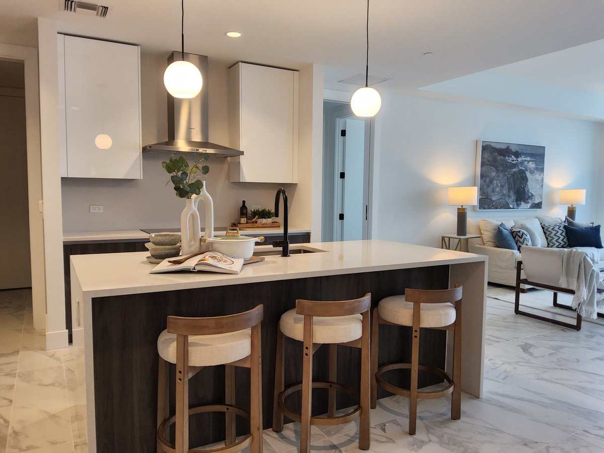 St. Pete Luxury Condo kitchen setup